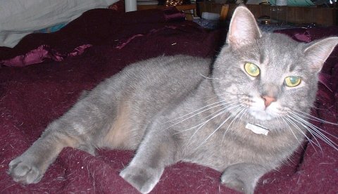 Mau-re in a sweet mood