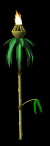 behold the tiki