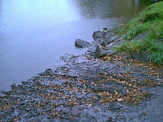 Boat Launch 1
