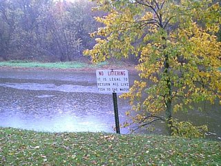 No Litter
