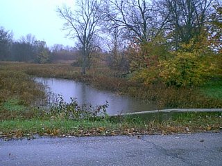River 20
