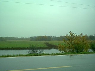 River 21