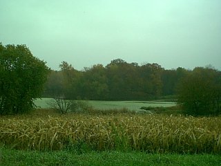 River 26