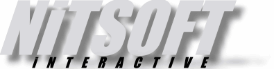 NiTSOFT iNTERACTIVE