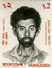 Picture of Shahid Saber