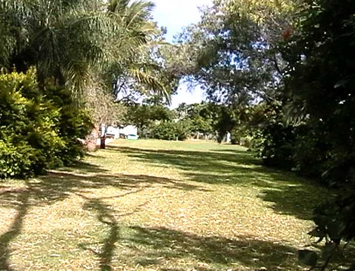 North yard front