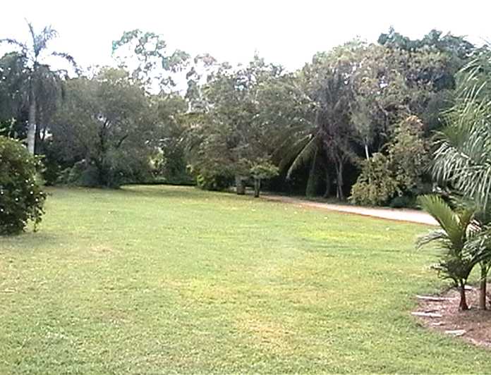 yard north back