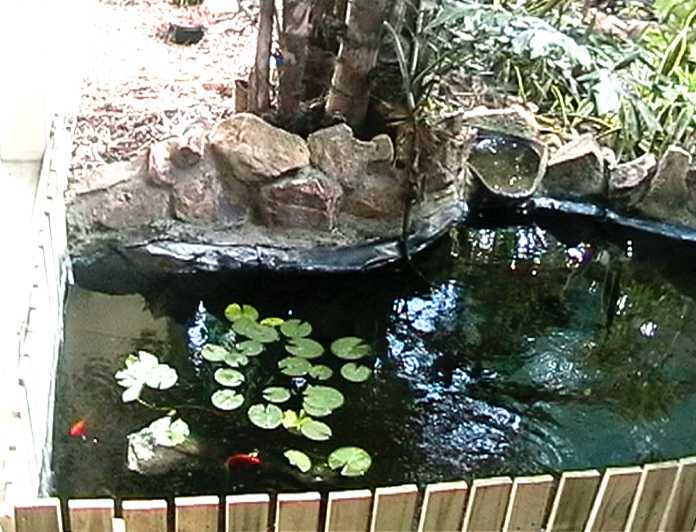 Pond