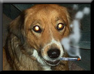 Stoned Public Relations Officer