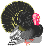 The Wmstwn Young Clucks