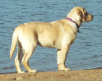 4 months, at the lake