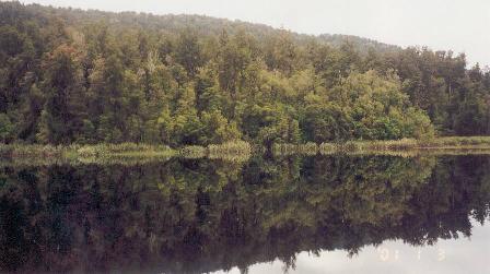 Lake Matheson