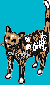 cat2b.gif (2013 bytes)