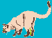 cat6b.gif (1493 bytes)