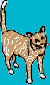 cat7b.gif (2036 bytes)