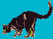 cat8b.gif (1475 bytes)