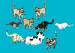 group3a.gif (5892 bytes)