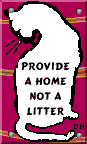 snc1.gif (2559 bytes)