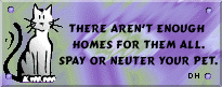 snc2.gif (12842 bytes)
