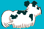 spanky7.gif (2684 bytes)