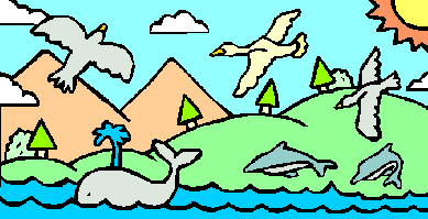 fish and birds created