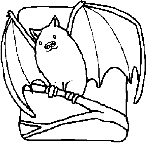 BATR.gif (8495 bytes)