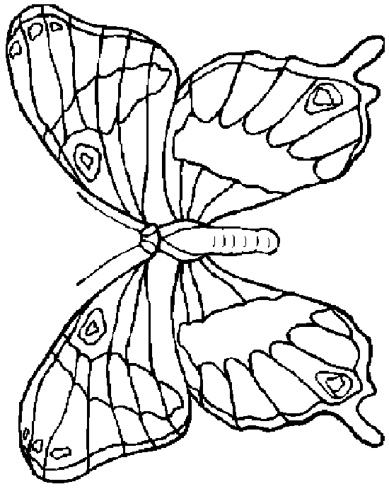 BUTTRFLY.gif (15678 bytes)