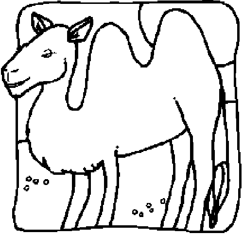 CAMELR.gif (8114 bytes)