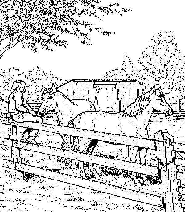 horses3.gif (28506 bytes)