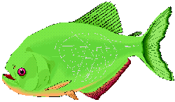 fish