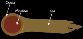 The nucleus, coma and tail of the comet - become evident when the sun sublimates the solid nucleus.