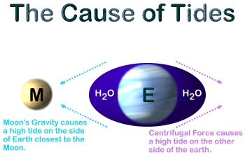 Moon's Gravity & Centrifugal Force! - http://geocities.com/nkaadan/science/