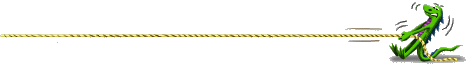 lizard line