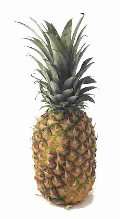 pi�a (ananas)