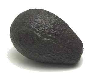 aguacate (avocado)