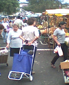 de markt in Guadaloupe