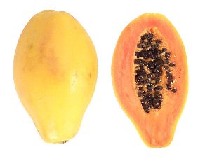 papaya
