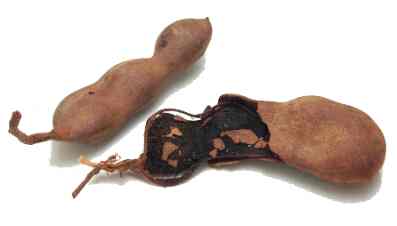 tamarindo (klik voor recept)