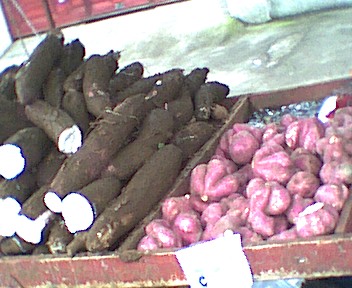 yuca en zoete aardappel (camote)