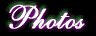 Photo Gallery Section
