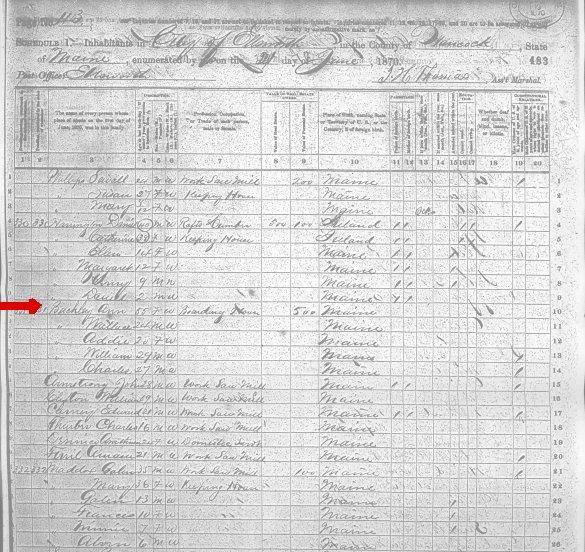 1870HancockMeCensus.jpg (116027 bytes)