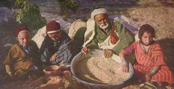 11ii.gif (87965 bytes)