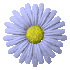 N2.gif (8836 bytes)