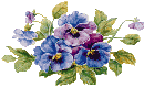 N3.gif (4202 bytes)