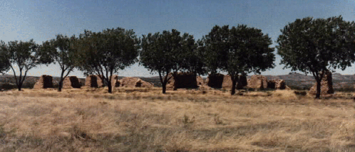fort selden