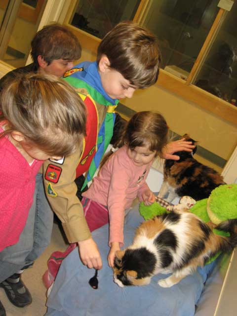 Newmarket Cubs: OSPCA