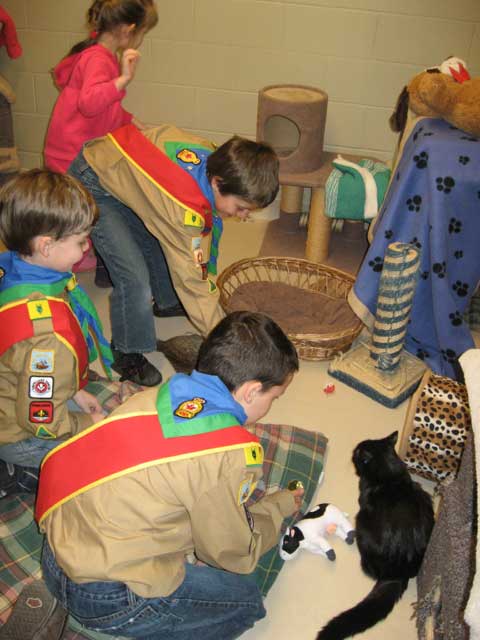 Newmarket Cubs: OSPCA