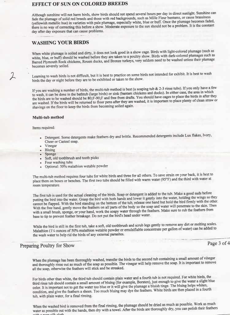 info3.jpg - 98734 Bytes