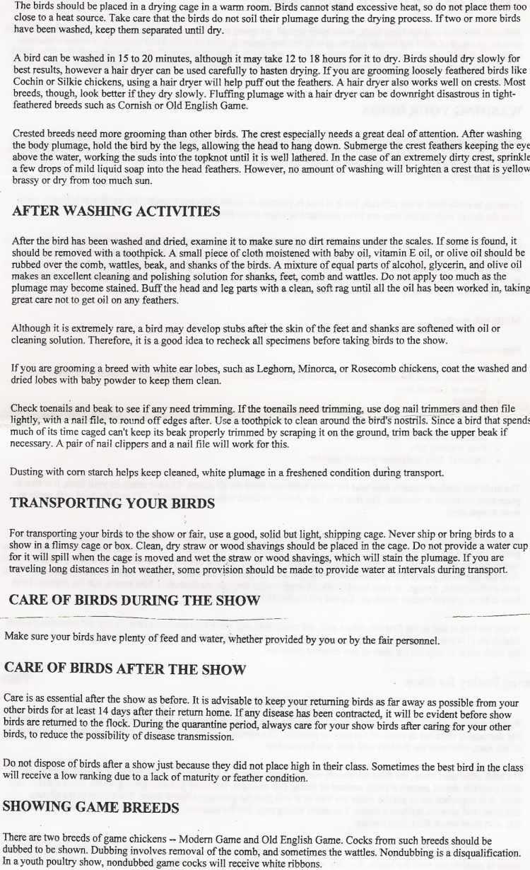 info4.jpg - 139963 Bytes