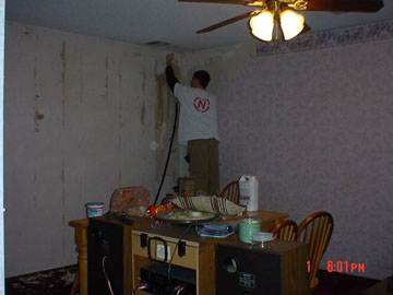  Brian patiently laboring away at the final sheet of the first (and only) wall we've done so far. 